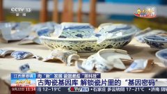 2000万片寂静诉说着千年故事